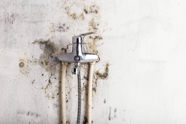 Trusted Saco, ME Mold Removal Experts