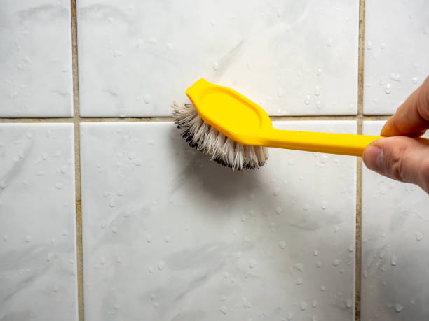 Best Certified Mold Removal  in Saco, ME