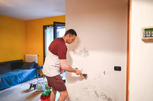 Mold Testing and Removal in Saco, ME